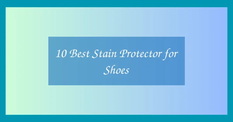 10 Best Stain Protector for Shoes