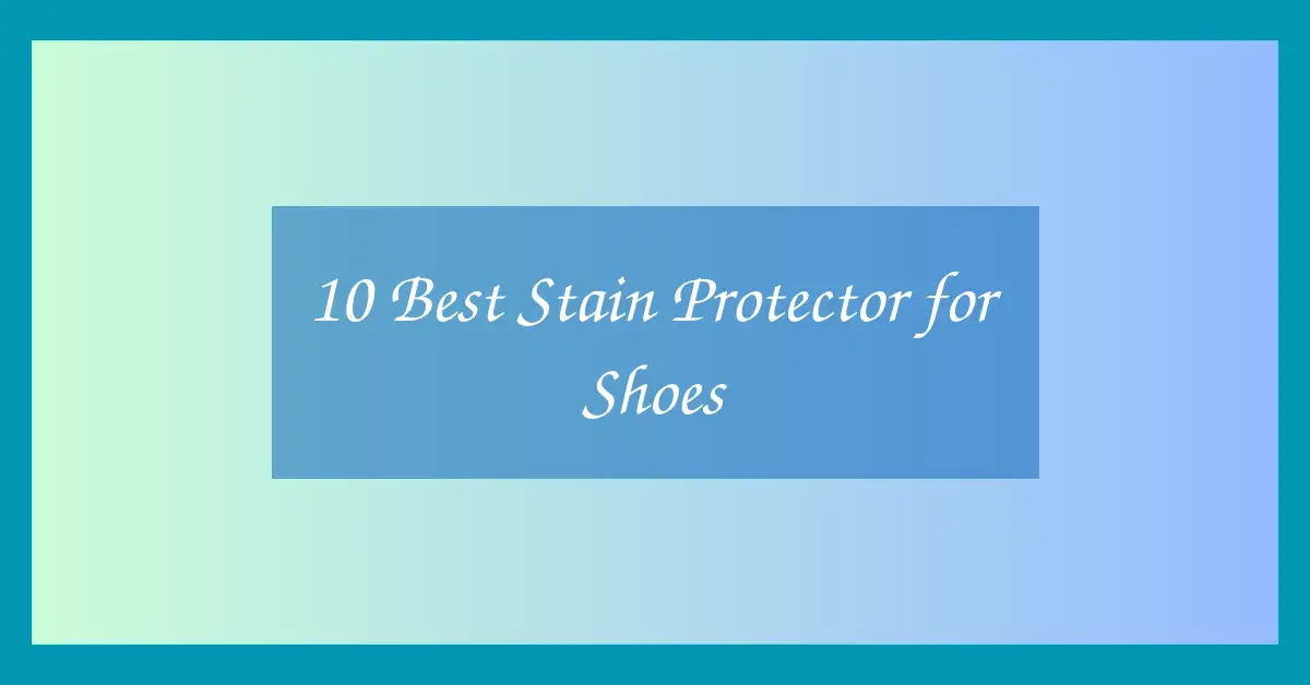 10 Best Stain Protector for Shoes