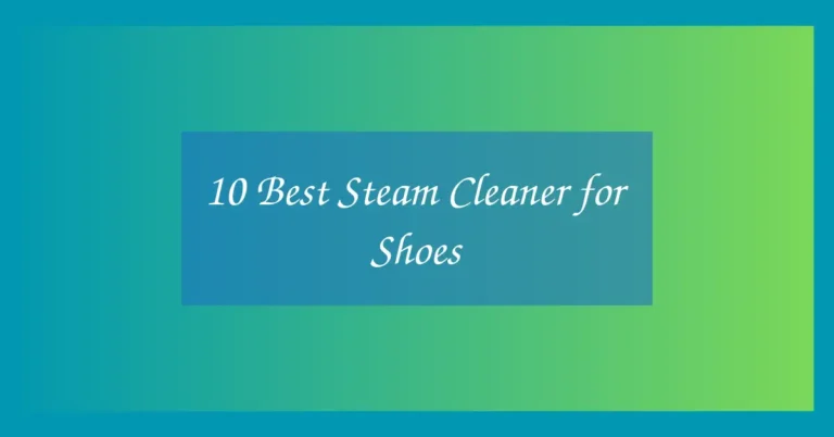 10 Best Steam Cleaner for Shoes