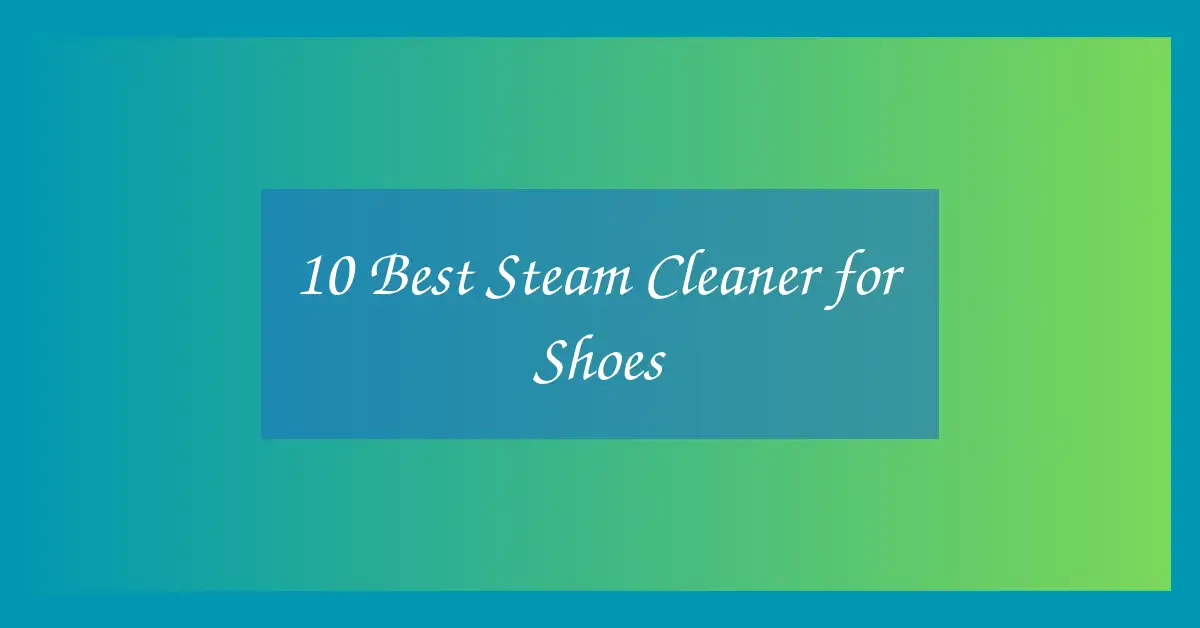 10 Best Steam Cleaner for Shoes