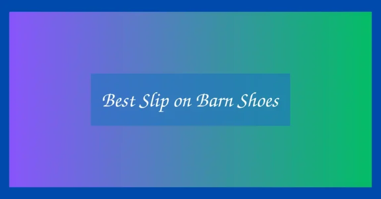 Best Slip on Barn Shoes