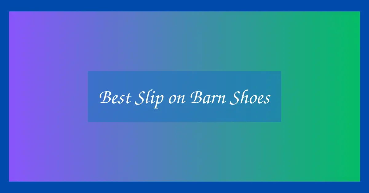 Best Slip on Barn Shoes