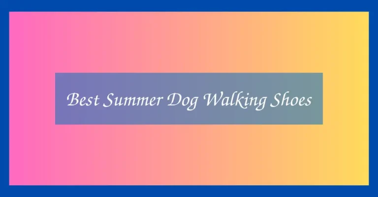 Best Summer Dog Walking Shoes