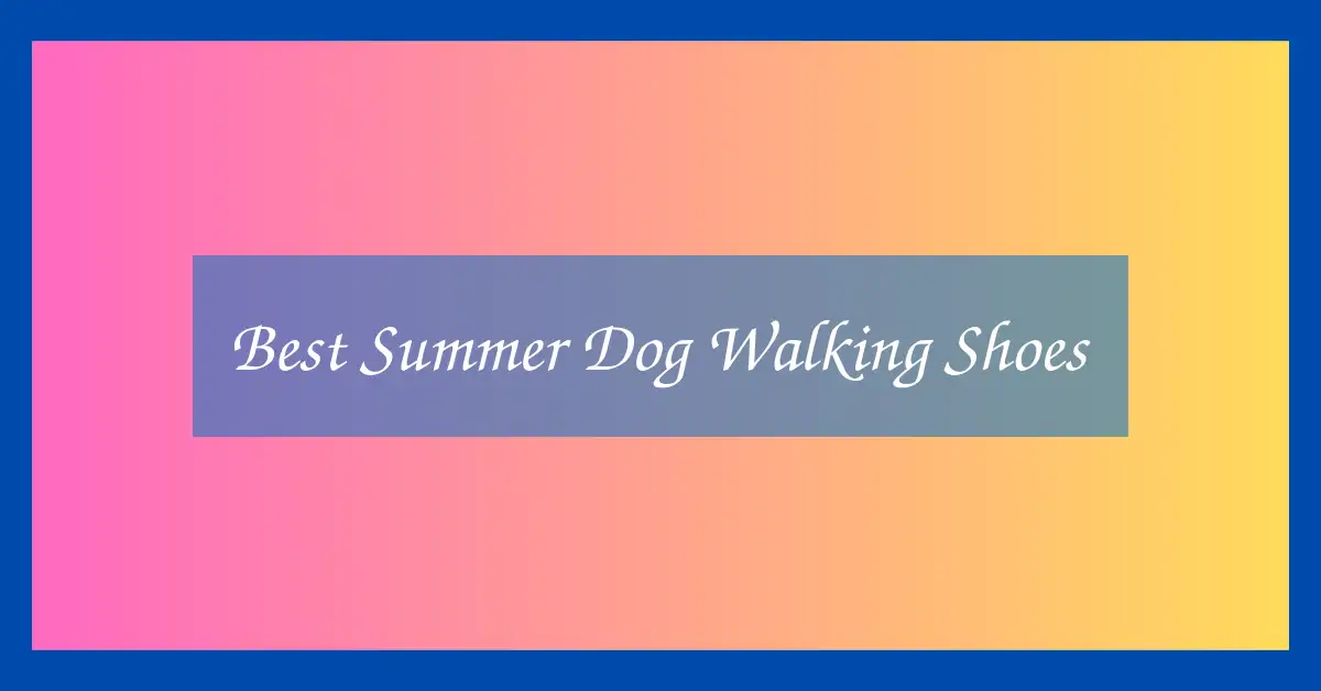 Best Summer Dog Walking Shoes