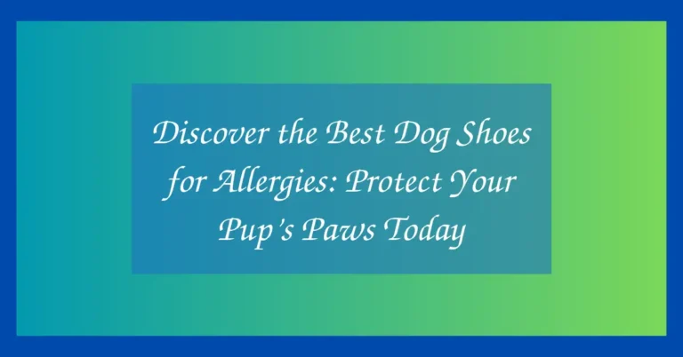 Discover the Best Dog Shoes for Allergies: Protect Your Pup’s Paws Today
