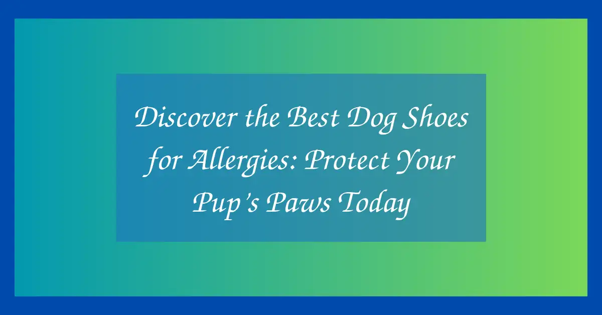 Discover the Best Dog Shoes for Allergies: Protect Your Pup’s Paws Today