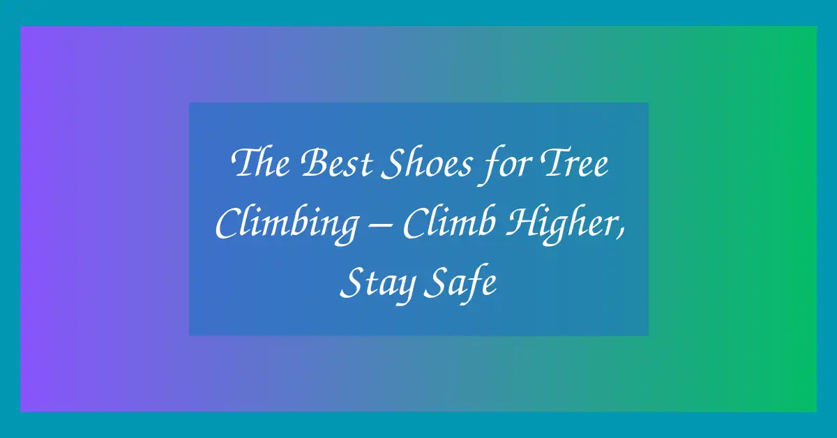The Best Shoes for Tree Climbing – Climb Higher, Stay Safe