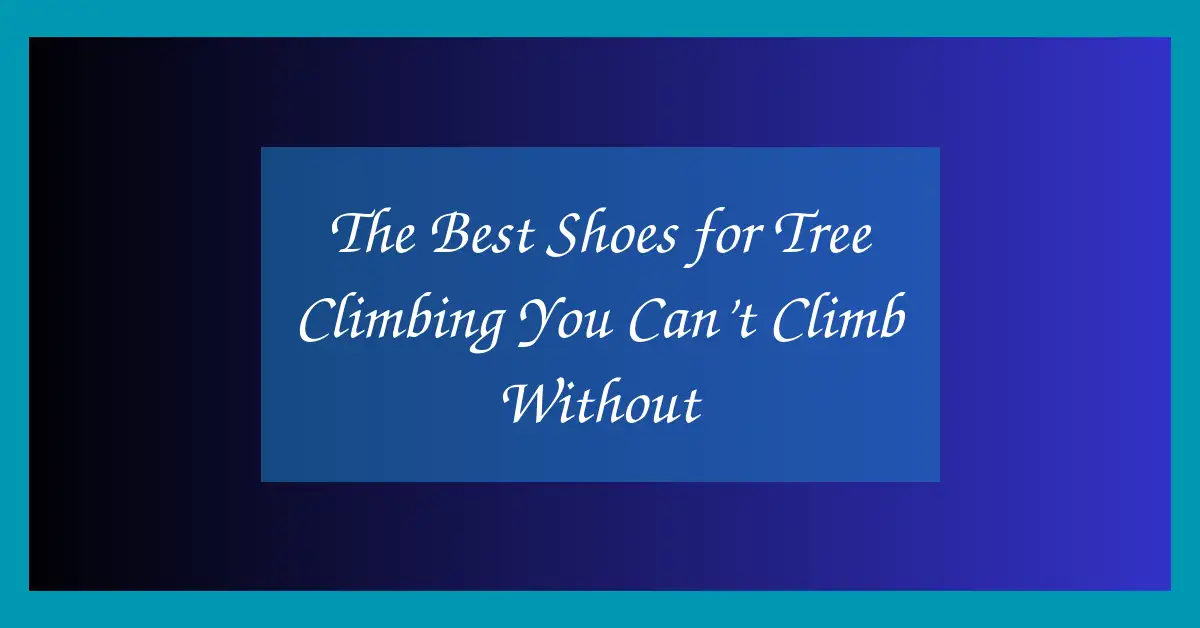 The Best Shoes for Tree Climbing You Can’t Climb Without