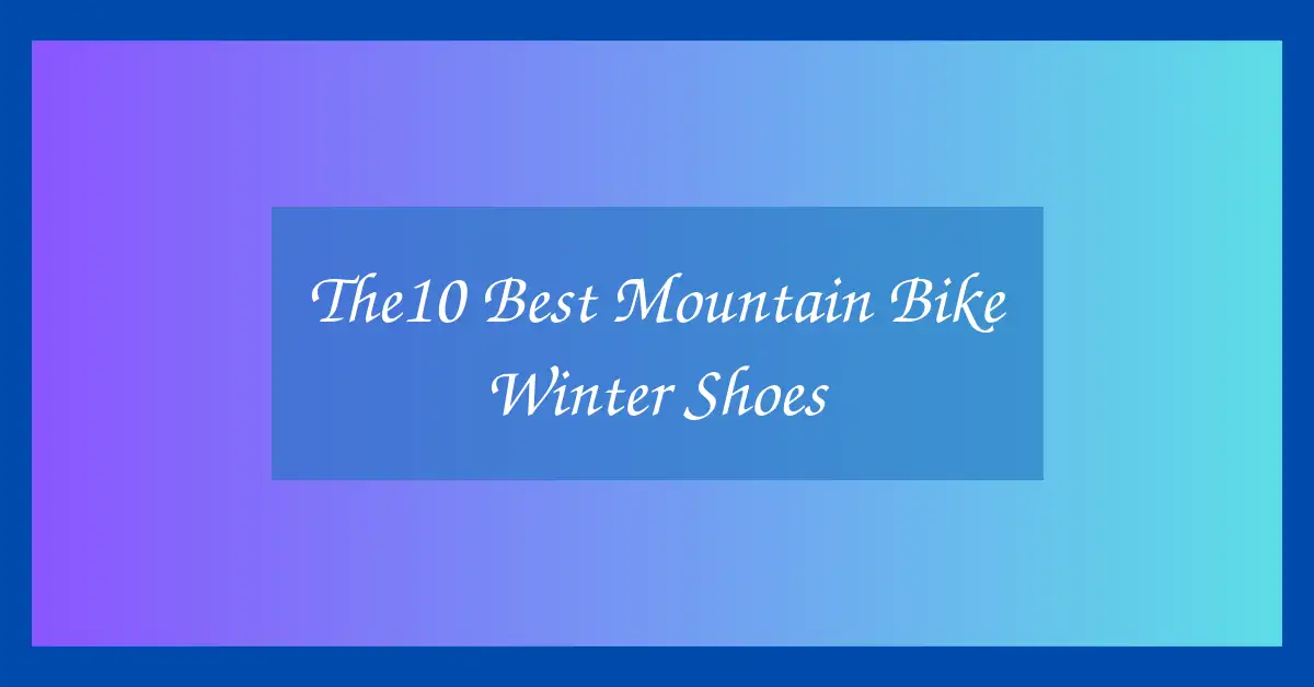 The10 Best Mountain Bike Winter Shoes