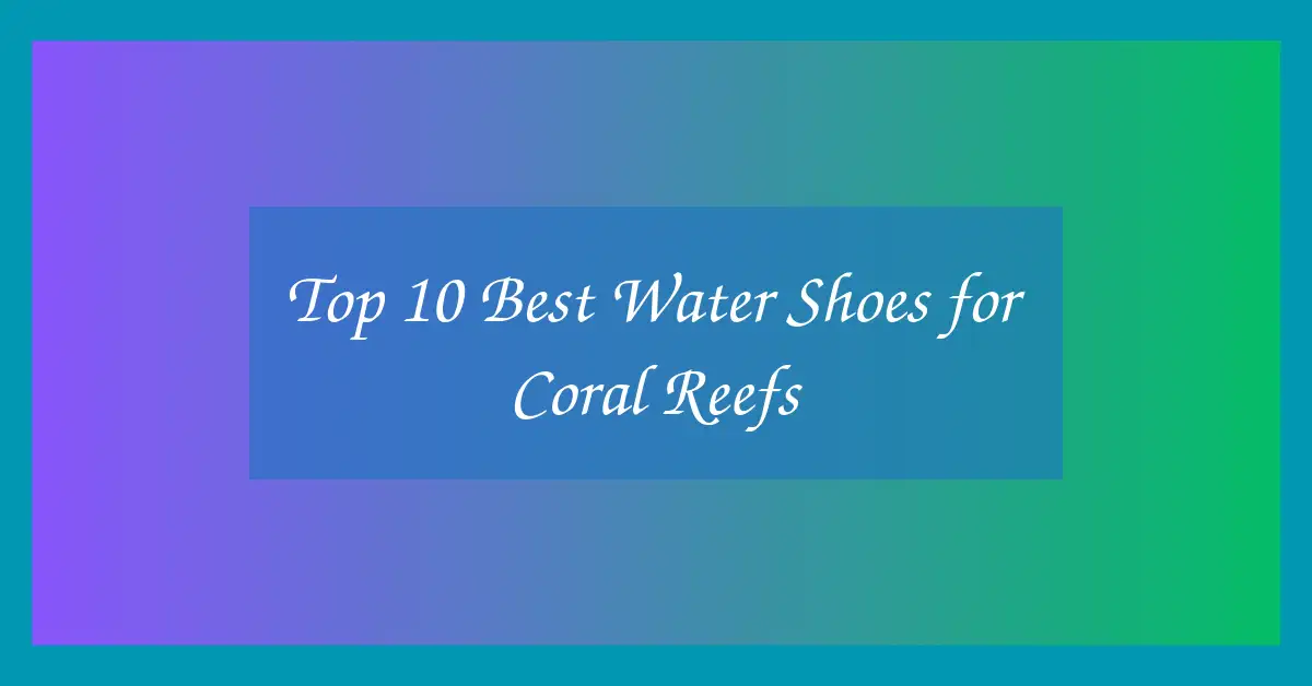 Top 10 Best Water Shoes for Coral Reefs