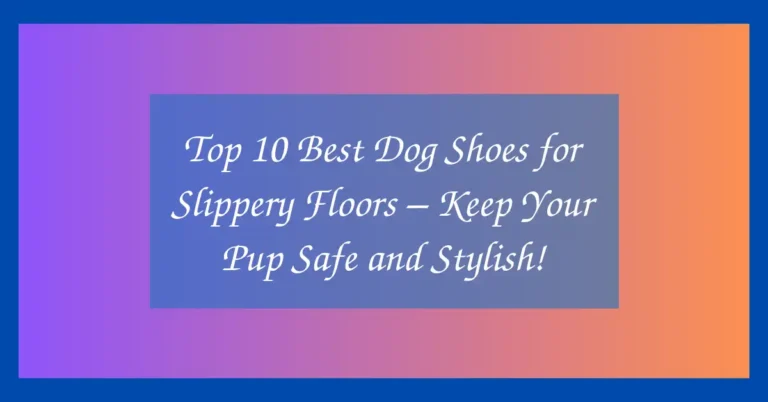 Top 10 Best Dog Shoes for Slippery Floors – Keep Your Pup Safe and Stylish!